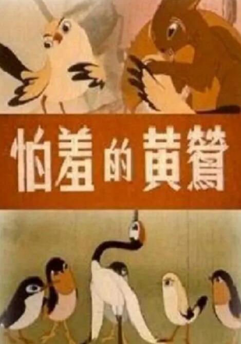 噼里啪啦观看
