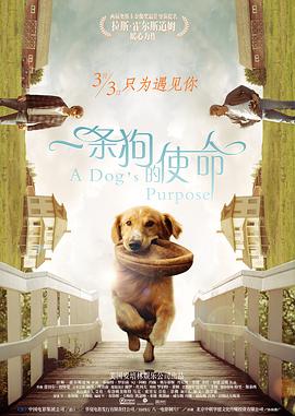 色香影视