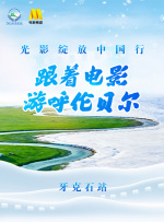 一夜七次郎在线视频