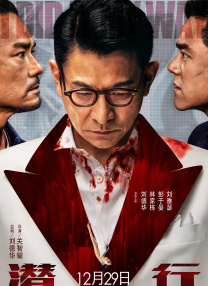 速战拍档